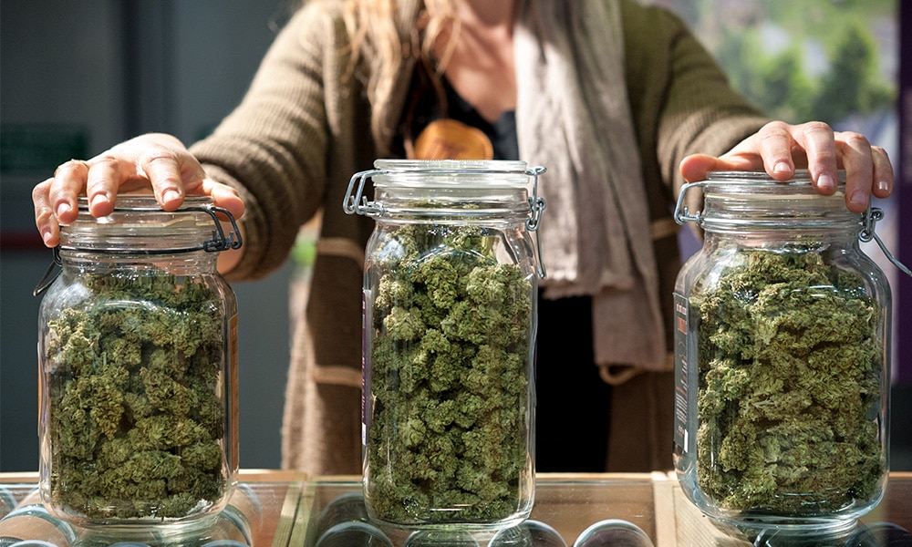 recreational cannabis dispensary procedures